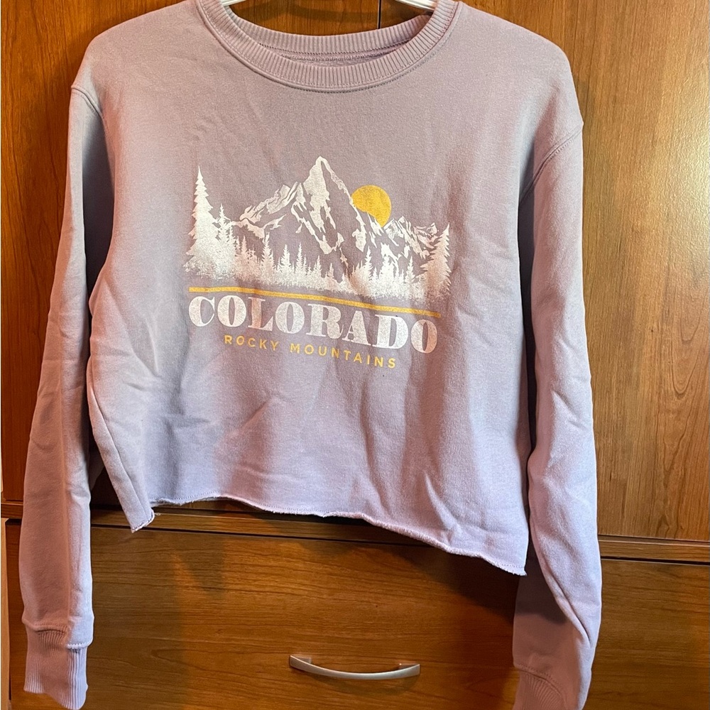 Hollister Purple Crew Neck Sweater